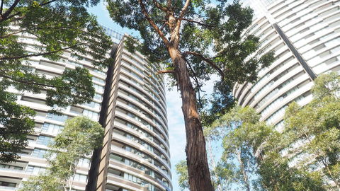 SkyGarden Sydney Olympic Park 3 & 4 Bedroom City View - Accommodation Newcastle 33