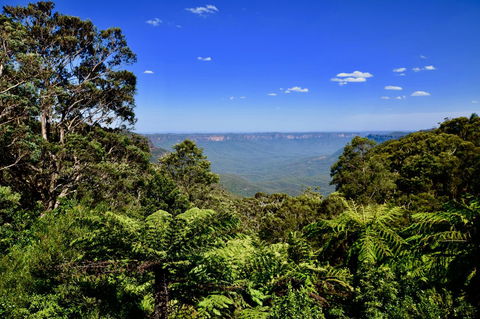 Dangal Gardens - Accommodation Newcastle 28