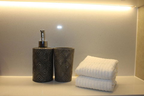 Stunning Views Sydney Olympic Park - Accommodation Newcastle 24
