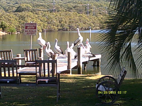 Pelican H2O One & Two Bedroom Apartments - Accommodation Newcastle 9