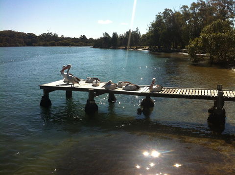 Pelican H2O One & Two Bedroom Apartments - Accommodation Newcastle 5
