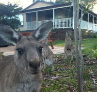 Bush  Bay Cottage - Accommodation Newcastle
