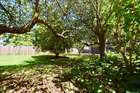 Wildlife Lodge Katoomba - Accommodation Newcastle 26