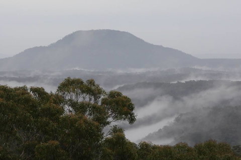 Christopher Tiny House - Accommodation Newcastle 5