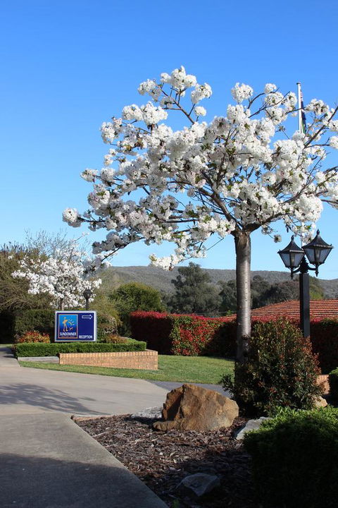Hume Country Motor Inn - Accommodation Newcastle 0