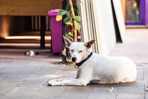 Jump Inn Alice Budget Accommodation - Accommodation Newcastle 43