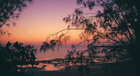 Darwin Beach Escape Holiday Home - Accommodation Newcastle 25