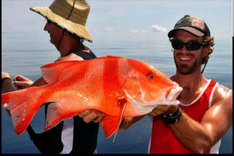 Darwin Beach Escape Holiday Home - Accommodation Newcastle 39
