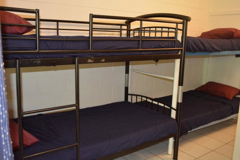 Frogs-Hollow Backpackers - Accommodation Newcastle 7