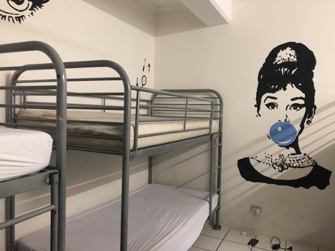 Frogs-Hollow Backpackers - Accommodation Newcastle 33