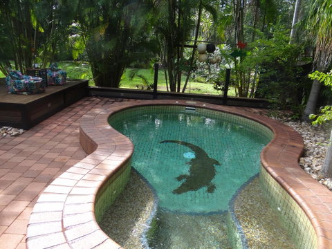 DARWIN'S SHADY ACRES RETREAT - Accommodation Newcastle 13