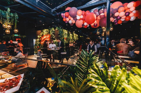 Canberra Rex Hotel - Accommodation Newcastle 7