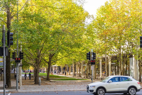 Highgate Executive Apartment City Walk Canberra - Accommodation Newcastle 37