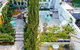 Breathtaking Views In Spacious Balmain House - thumb 3
