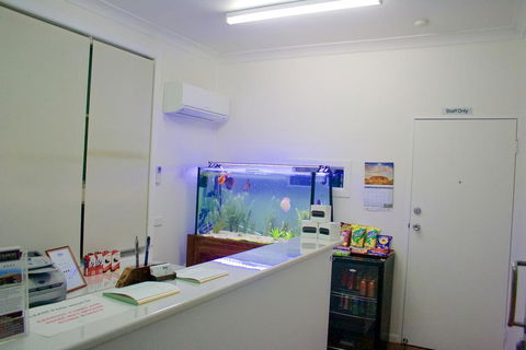 Buckaroo Motor Inn - Accommodation Newcastle 1