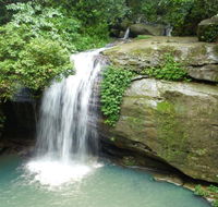 Buderim Forest Hideaway - Accommodation Newcastle