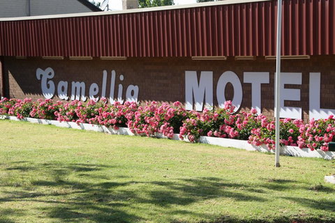 Camellia Motel - Accommodation Newcastle 2