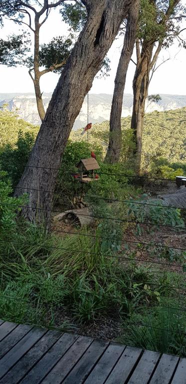 Canyon Cottage - Accommodation Newcastle 3