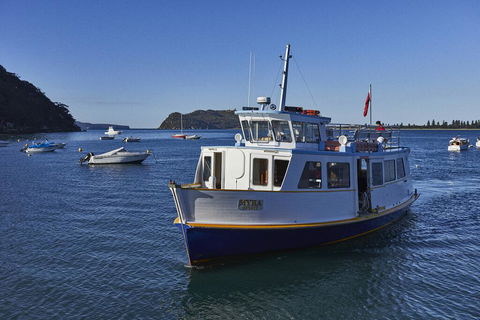 Cape Mackerel Cabin With Magic Palm Beach & Pittwater Views - Accommodation Newcastle 2