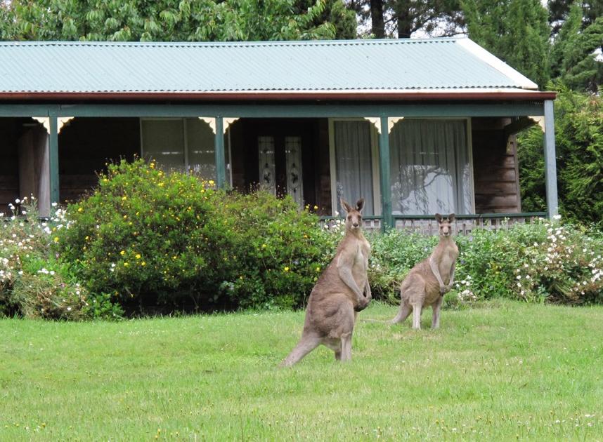 Mount Victoria NSW Accommodation Newcastle
