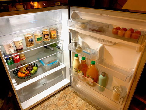Cedar Park Rainforest Resort - Accommodation Newcastle 3