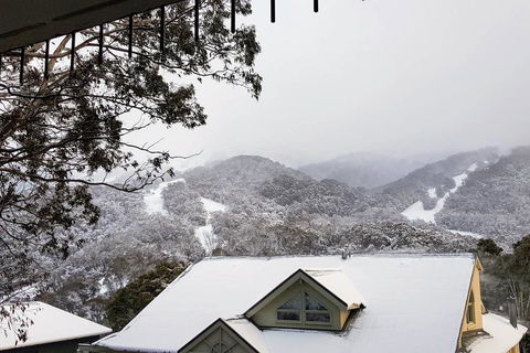 Celesia 2 - Accommodation Newcastle 0