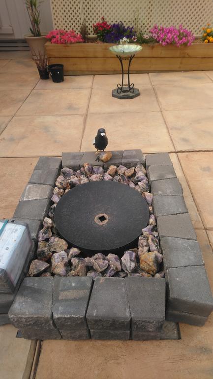 Chrissie's Dongara - Accommodation Newcastle 1