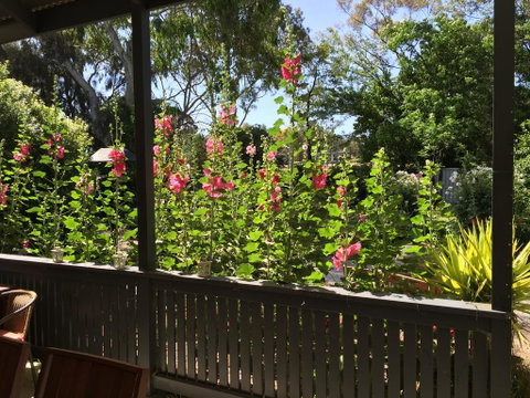 Clarevale Cottage B&B - Accommodation Newcastle 1