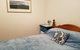 Cosy Quiet Bedroom Ferny Grove - thumb 1