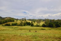Book Kandanga Accommodation Vacations Accommodation Newcastle Accommodation Newcastle