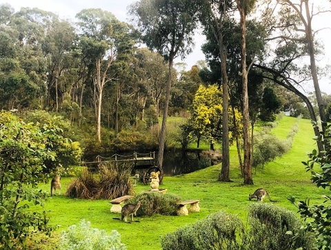 Countryside Retreat Intimate Studio Hepburn - Daylesford - Accommodation Newcastle 0