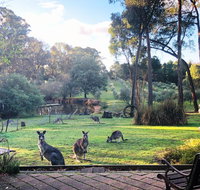 Countryside Retreat Spa Cottage Hepburn - Daylesford - Accommodation Newcastle
