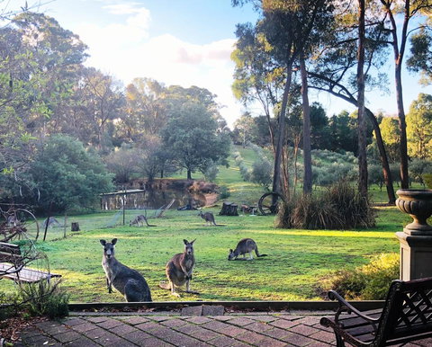 Countryside Retreat Spa Cottage Hepburn - Daylesford - Accommodation Newcastle 0