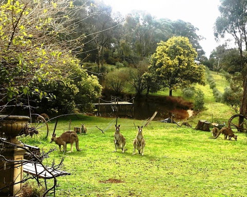Countryside Retreat Spa Cottage Hepburn - Daylesford - Accommodation Newcastle 1