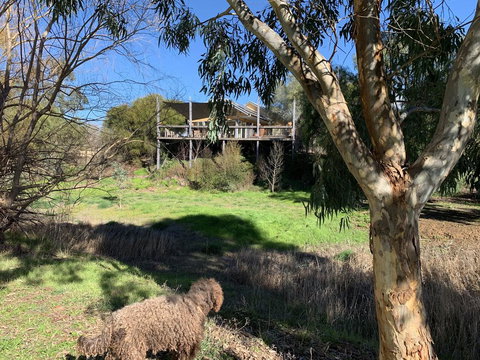 Cullen House - Accommodation Newcastle 1