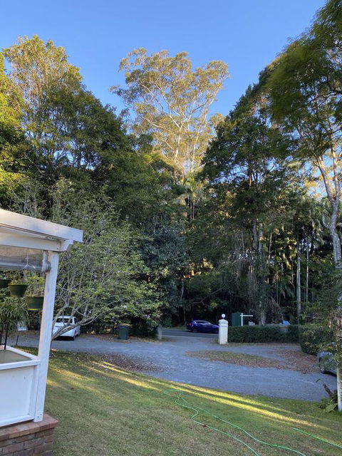 Curtis Falls Studio-Apartment - Accommodation Newcastle 3