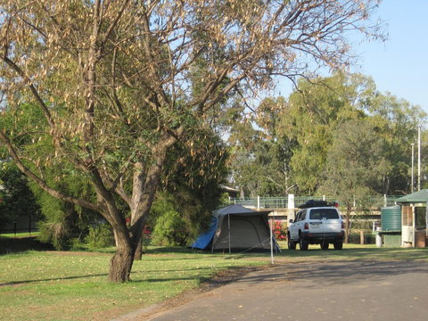 Dalby Tourist Park - Accommodation Newcastle 3