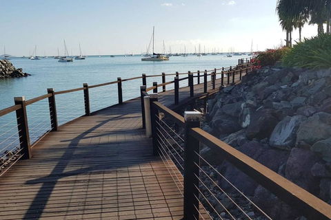 DAYDREAMING Airlie Beach, Water Views & Only 200m To Boardwalk. - Accommodation Newcastle 1