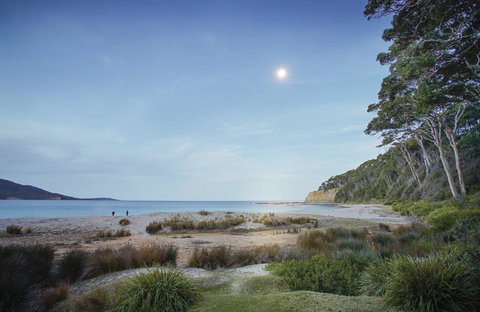 Depot Beach Cabins - Accommodation Newcastle 1