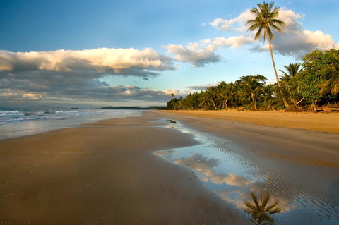 Driftwood - Accommodation Newcastle 1