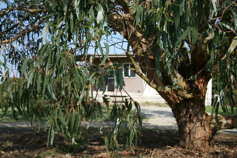 Driftwood Villas - Accommodation Newcastle 3