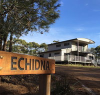 Echidna on Bruny - Accommodation Newcastle