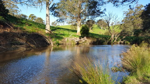 Emerald Hills Cottage - Accommodation Newcastle 1