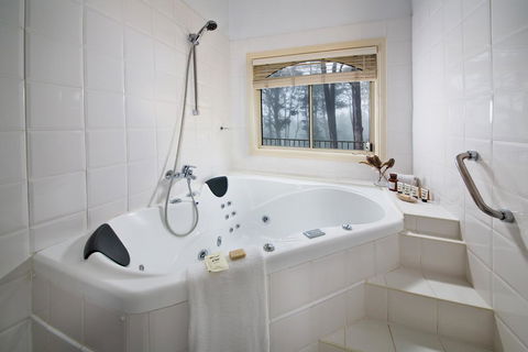 Falls Mountain Retreat Blue Mountains - Accommodation Newcastle 3