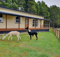 Farm Stay Lowana Strahan - Accommodation Newcastle