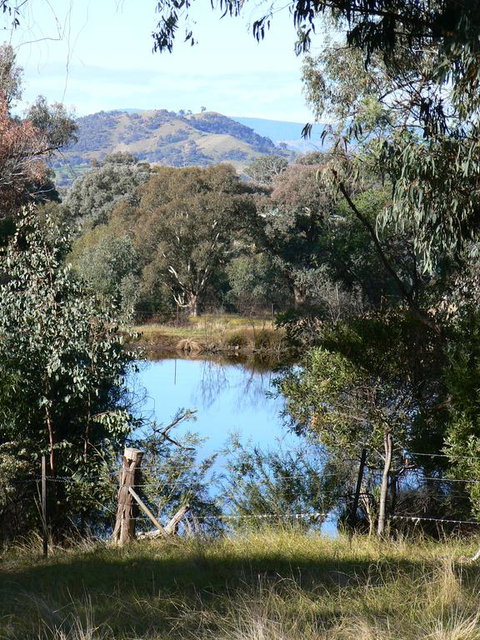 Gaddleen Grove Cottages - Accommodation Newcastle 3