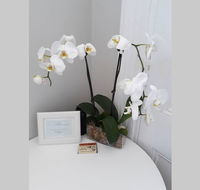 Gawler Heritage Accommodation - Accommodation Newcastle