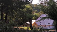 Book Zeehan Accommodation Vacations Accommodation Newcastle Accommodation Newcastle