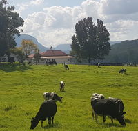Glenmurray - Country farm stay