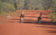 Gundabooka National Park Cottages - thumb 0